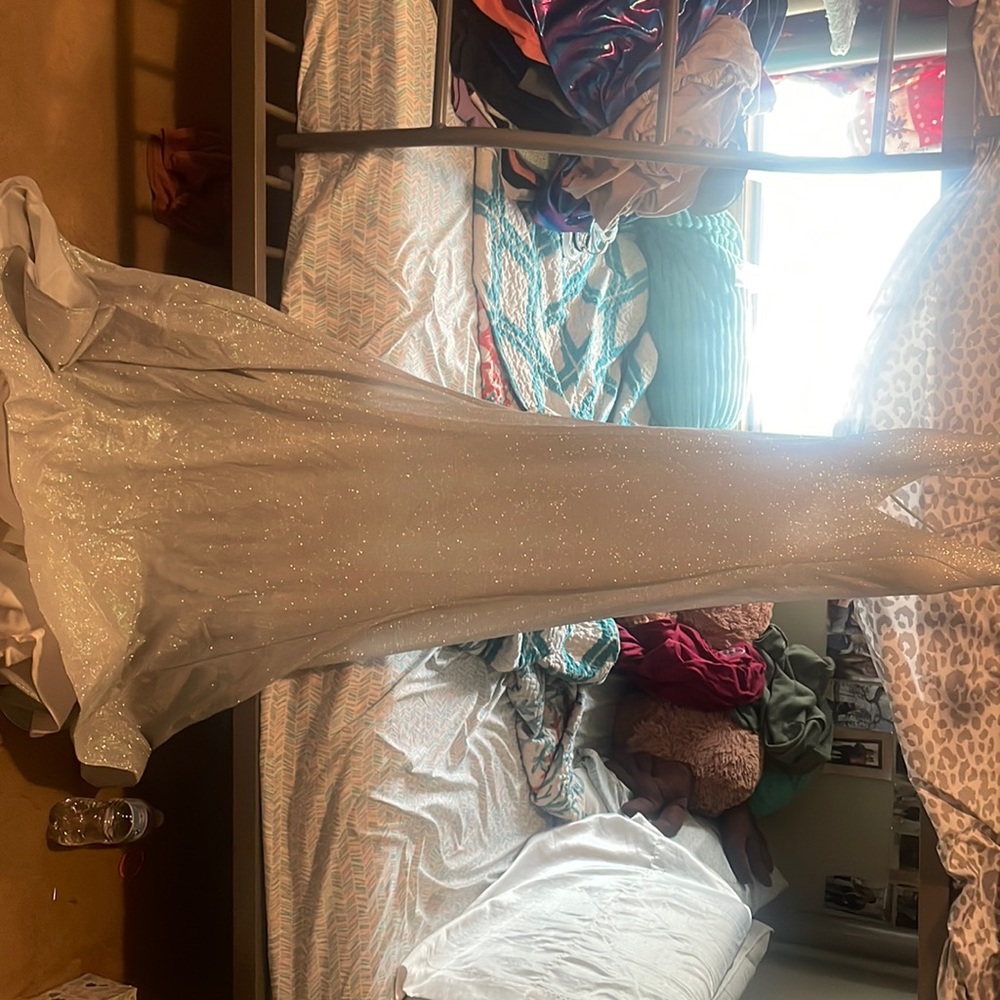 Silver sparkly prom dress